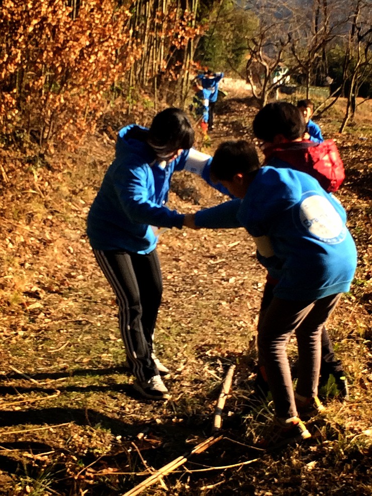 150202_brainsimli220918.jpg
